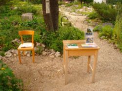 2013-08-18_Regina-F-Rau_Schachen_Alpengarten (806).JPG